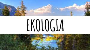 Ekologia dnia