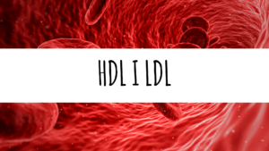 LDL i HDL w kontekście miażdżycy
