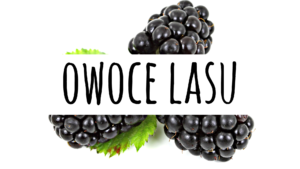 Owoce lasu