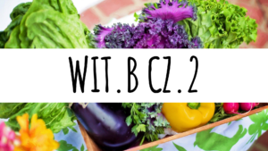 Witamina B
